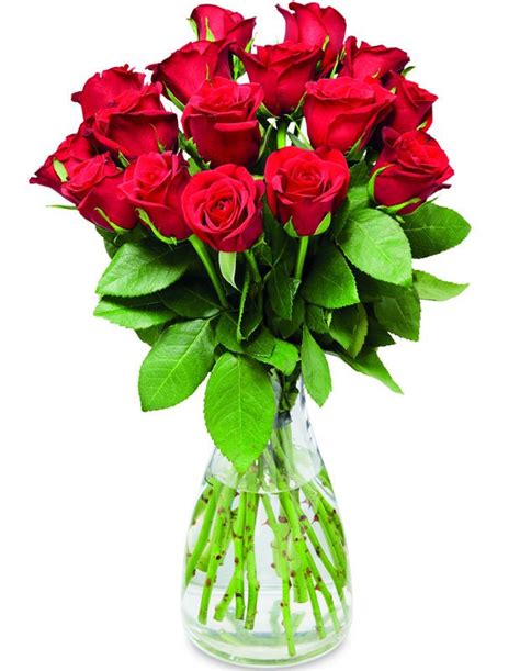 Aldi 100 Red Roses Store Selling 100 Valentines Day Roses For £16