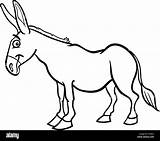 Asino Donkey Esel Alamy Agriturismo Bauernhof Vitalcom Malbuch Vectorstock Stockfoto sketch template