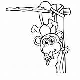 Coloring Monkey Hanging Pages Tree Baby Cute Drawing Kids Monkeys Banana Eating Color Circus Tail Getdrawings Getcolorings Print Drawings Paintingvalley sketch template