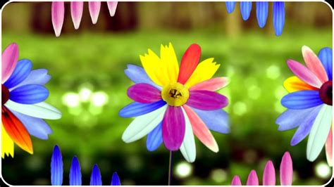 learn colors  colorful flowers  children toddlers  babies