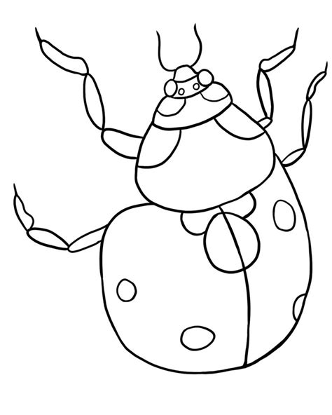 ladybug coloring template sketch coloring page
