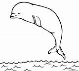 Whale Coloring Pages Beluga Printable Cool2bkids Kids Animal Drawings Ocean Animals sketch template