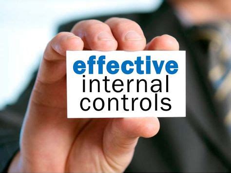 internal control ideas internal control management software testing