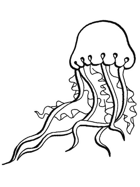 jellyfish outline   jellyfish outline png images