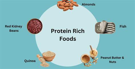 protein rich foods top  foods high  protein livofy