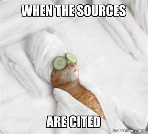 sources  cited pampered cat meme meme generator