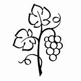 Branches Vine Clipart Clipground Vines sketch template