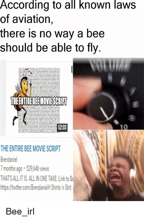 Funny Bee Irl Memes Of 2016 On Sizzle Doe