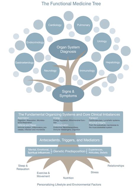 functional medicine tree kaufman health  hormone center