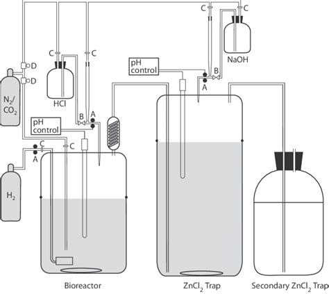 schematic diagram   reactor setup  peristaltic pump   scientific diagram