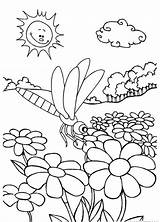 Coloring Dragonfly Flowers Pages Kids Beautiful sketch template