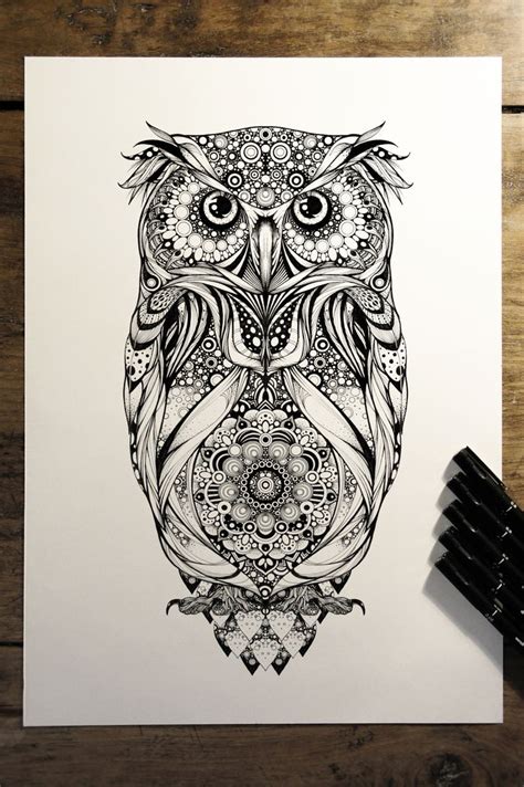 spotted eagle owl    illustration commissions  hoot