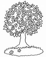 Baum Ausmalen Malvorlagen Malvorlage Besten Kostenlos Ausdrucken Blühender Bäume Bluhender Baume Bluehender Baeume Kindern Frühling Coloring Blumen sketch template
