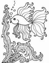 Fish Coloring Pages Betta Getcolorings Voor Kleuren Color Wall Getdrawings sketch template