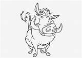 Warthog Coloring Pages Chimchar Kids Color Getcolorings Print sketch template