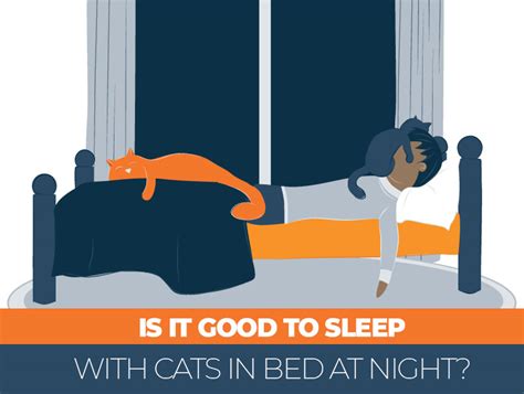 sleeping with cats at night the pros and cons sleep advisor