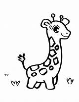 Giraffe Animals Coloring Drawings sketch template