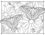 Coloring Manitoulin sketch template