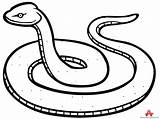 Snake Cliparting Copperhead Snakes Wikiclipart Rattlesnake Clipartmag sketch template