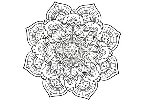 coloring pages  adults easy  png  file