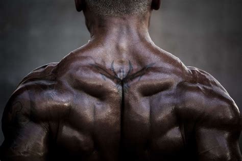 bodybuilding muskelsucht ist eine krankheit der spiegel