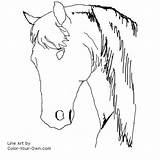 Horse Coloring Head Pages Spanish Type Color Own Study Line Index Kids sketch template