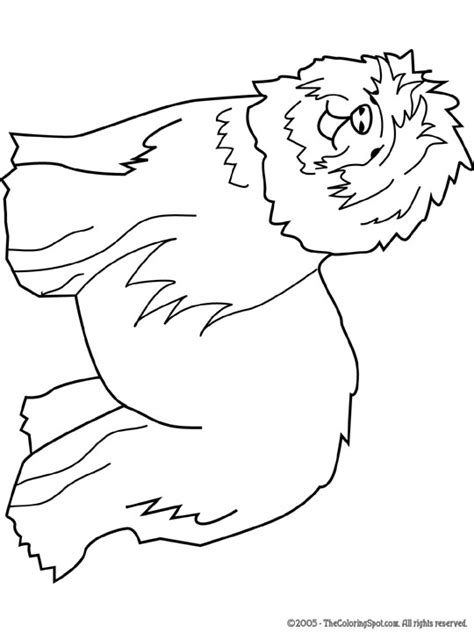 sheepdog coloring page audio stories  kids  coloring pages