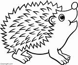 Hedgehog Coloring Pages Simple sketch template