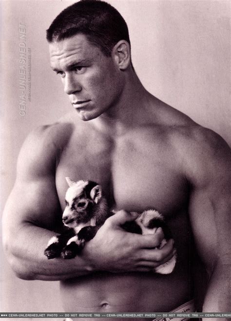 Boy puppies gay