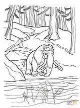 Coloring Pages Reflection Manfred sketch template