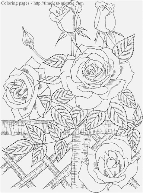 nature coloring pages  adults timeless miraclecom