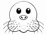Seal Coloring Animals Printable Pages sketch template