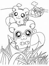 Hamster Hamsters Mammals sketch template