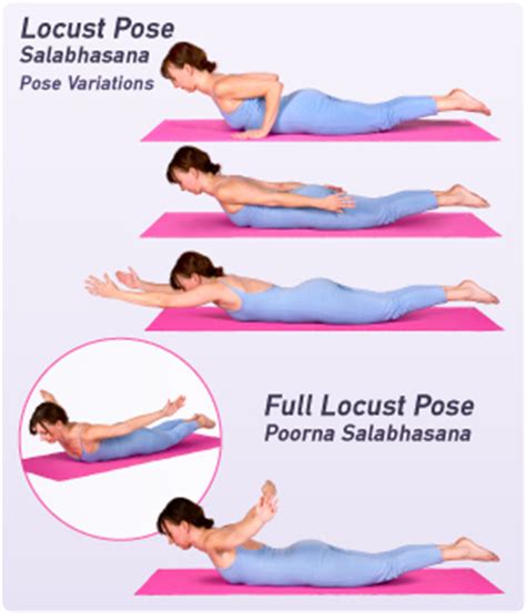 locust pose  yoga