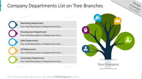 modern tree diagram powerpoint template  branch infographics  root