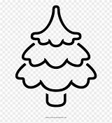 Pine Clipart Coloring Tree Pinclipart sketch template