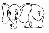 Elephant Coloring Pages Kids Preschool sketch template