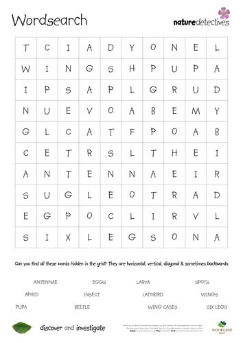 wordsearch teaching resources