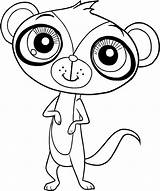 Pet Shop Littlest Sunil Mongoose Suunnittelu sketch template