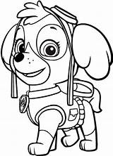 Paw Patrol Pngkey Automatically Start Click Doesn Please If Skye sketch template