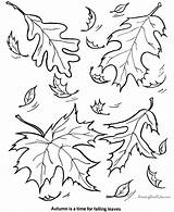 Coloring Pages Leaf Tree Printing Leaves Help Sheets Printable sketch template