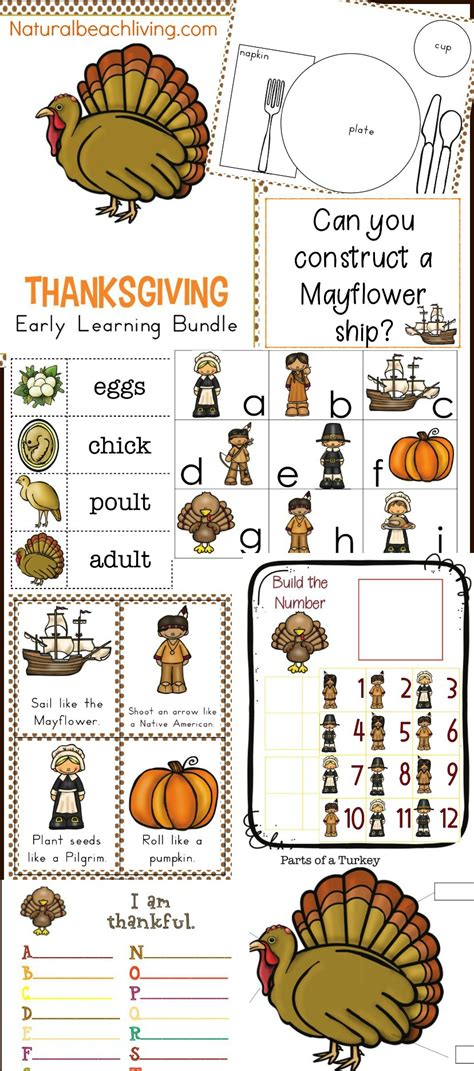 thanksgiving kindergarten  preschool theme lesson plan natural