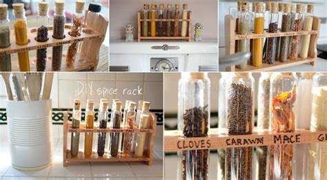diy test tube projects
