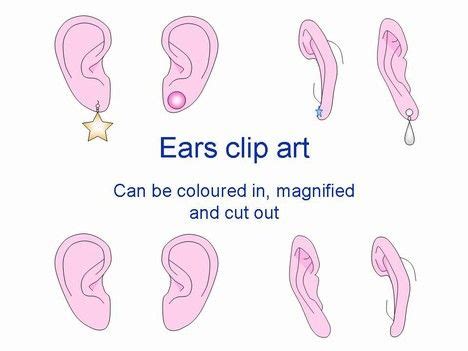 ear outlines clip art clip art outline ear
