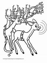 Reindeer Rudolph Nosed Rentier Ausmalbilder Renos Reindeers Malvorlage Rudolf Ausmalbild Claus Coloring4free Sleigh Renas Papai sketch template