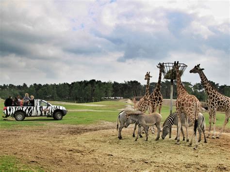 op safari  brabant  beekse bergen tips  hand   pocket