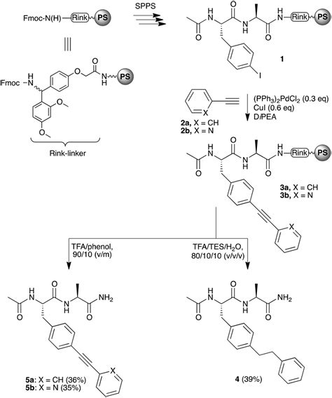 synthesis  bisarylethynepeptide conjugates organic chemistry