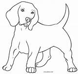Hund Malvorlage Kostenlos Coloring Ausdrucken Cool2bkids sketch template