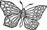 Butterfly Monarch Sheet sketch template