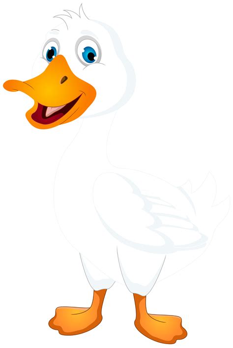 white duck cartoon